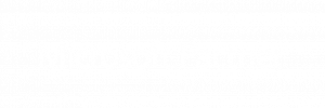 microsoft-partner-logo-single-line-white