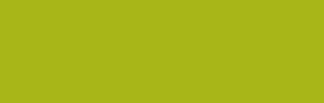 Schuuring Telecom